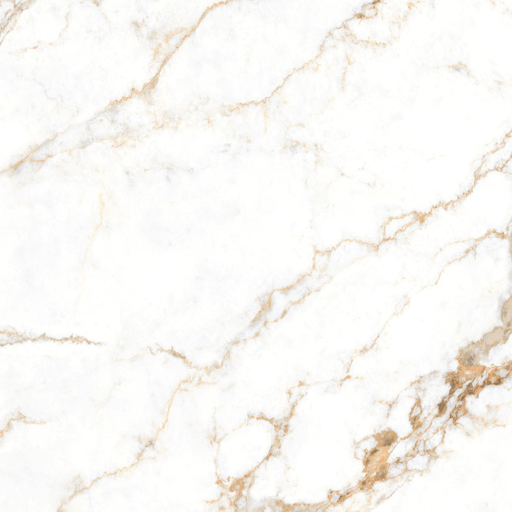 SIGNORA  - 120 x 120 - High gloss porcelain tile