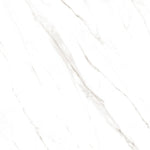 Load image into Gallery viewer, SUPER SATVARIO GLOSSY PORCELAIN TILES | 1200 x 600

