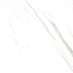 Load image into Gallery viewer, SUPER SATVARIO - 1200x600 High Gloss Porcelain Tile
