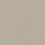 Load image into Gallery viewer, Savanna – Tarasafe Standard Flooring by Gerflor