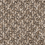 Load image into Gallery viewer, Bonanza Felt Carpet