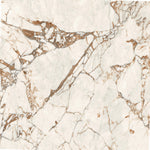 Load image into Gallery viewer, TORTONA CREMA - 120 x 120 - High gloss porcelain tile
