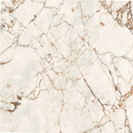 Load image into Gallery viewer, TORTONA CREMA - 120 x 120 - High gloss porcelain tile

