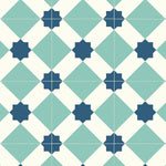 Load image into Gallery viewer, Color-estrella 574
