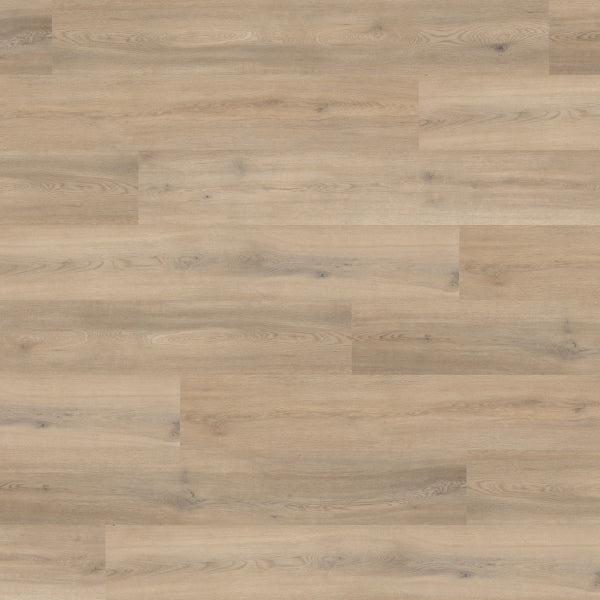 Color-naked blond oak