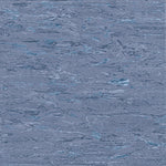 Load image into Gallery viewer, Polyflor Commercial Vinyl
