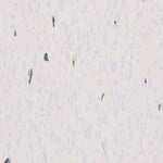 Load image into Gallery viewer, White Sparkle - PVC Ceiling Panels
