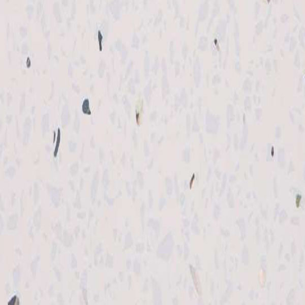 White Sparkle - PVC Ceiling Panels